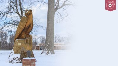 HACC Zoom Background Snowy Hawk HACC Zoom Background Snowy Hawk
