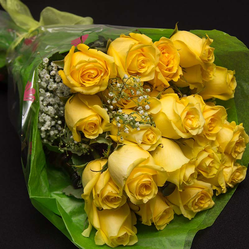 Yellow Roses