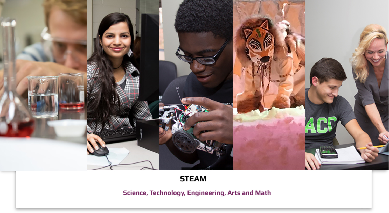 Fund for Excellence in STEAM Photo